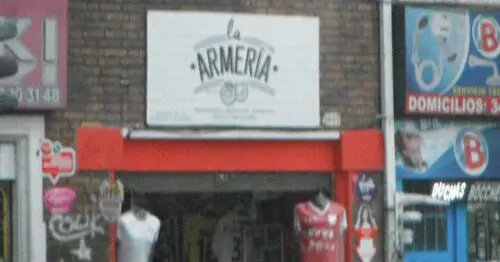 LA ARMERIA LA ARMERIA